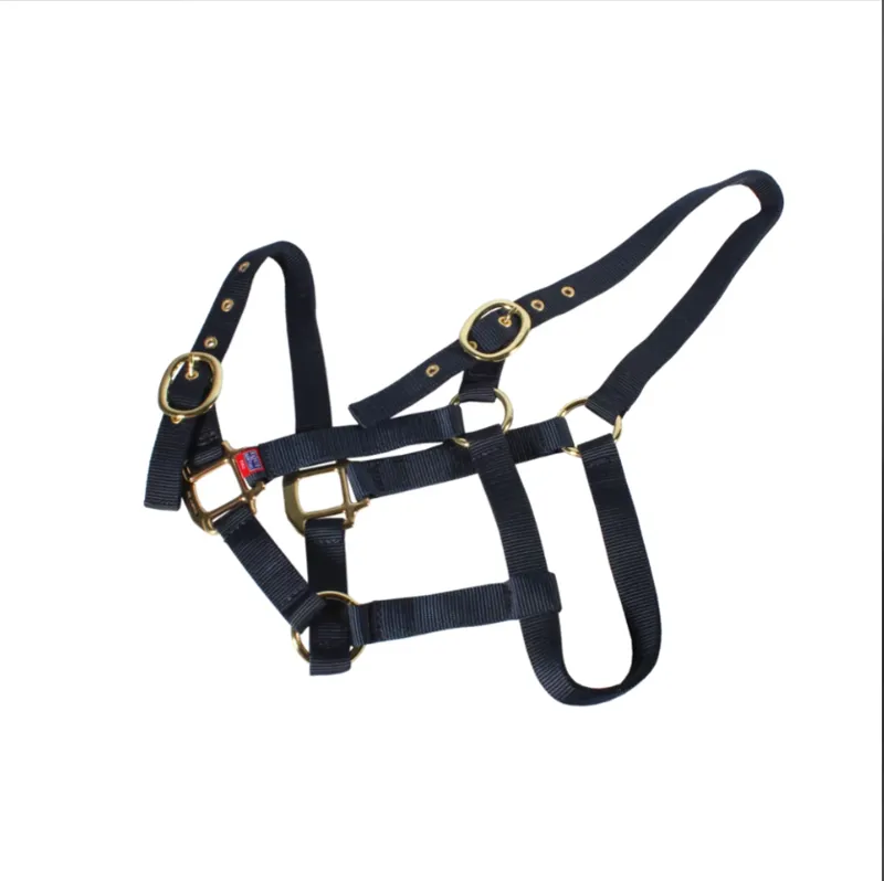 Equisential Nylon Headcollar Foal Navy